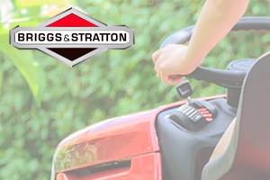 Briggs & Stratton Finden Sie Nummer und Modell